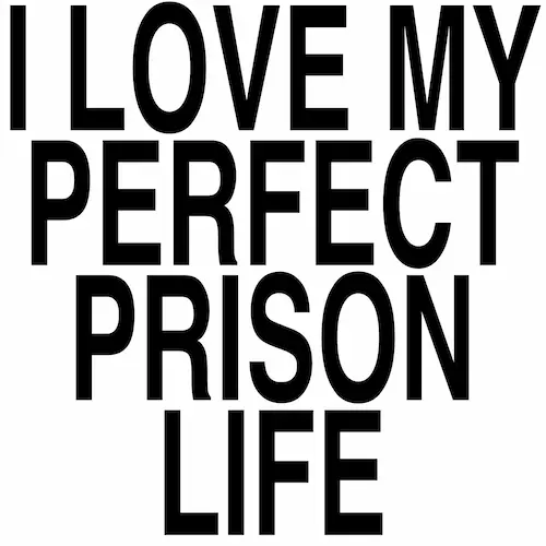 perfect prison life